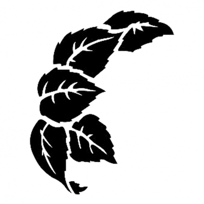 Cadence Stencil D80 15*20 Boyut