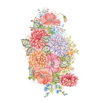 T02 Sevetlana Zhurkina 17x25 Transfer