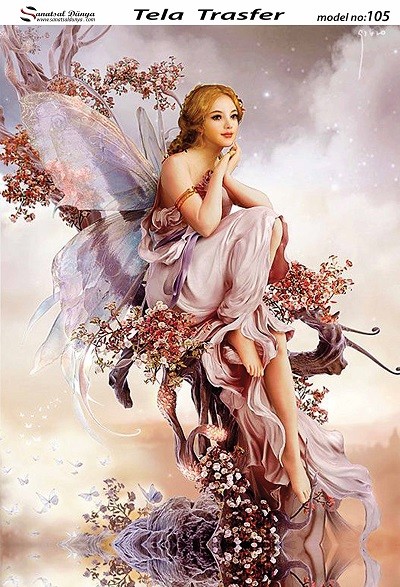 Tela Transfer Model 105