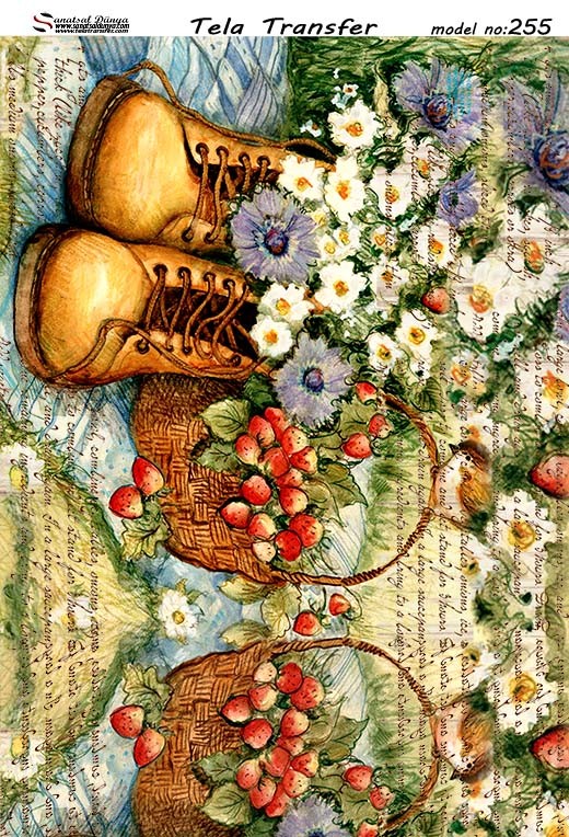 Tela Transfer Model 255