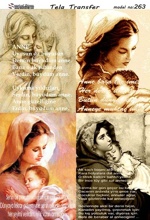 Tela Transfer Model 263