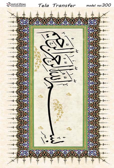 Tela Transfer Model 300