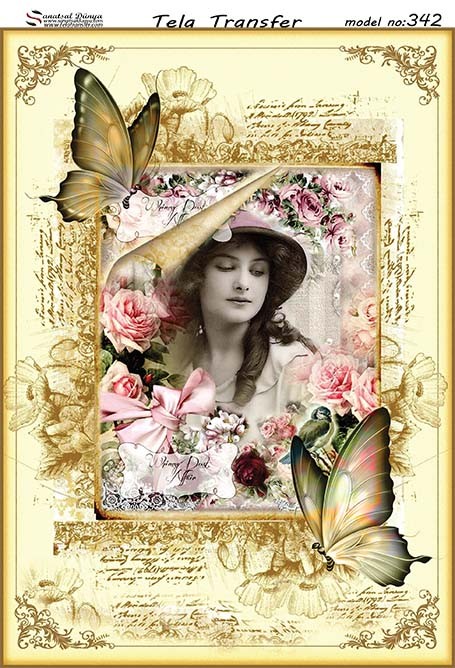 Tela Transfer Model 342