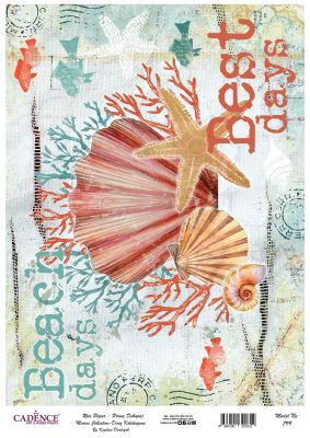 Cadence Pirinç Dekopaj - Model 799