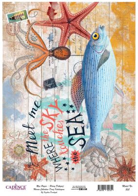 Cadence Pirinç Dekopaj - Model 808