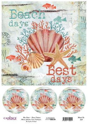 Cadence Pirinç Dekopaj - Model 839