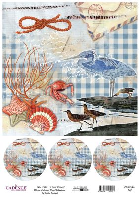 Cadence Pirinç Dekopaj - Model 843