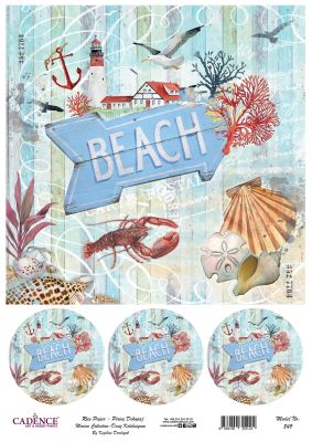 Cadence Pirinç Dekopaj - Model 849