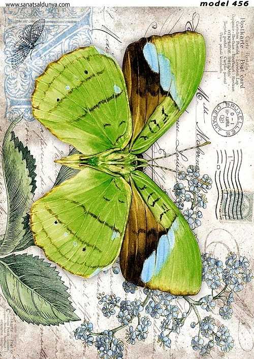 SD Pirinç Dekopaj - SDP0456