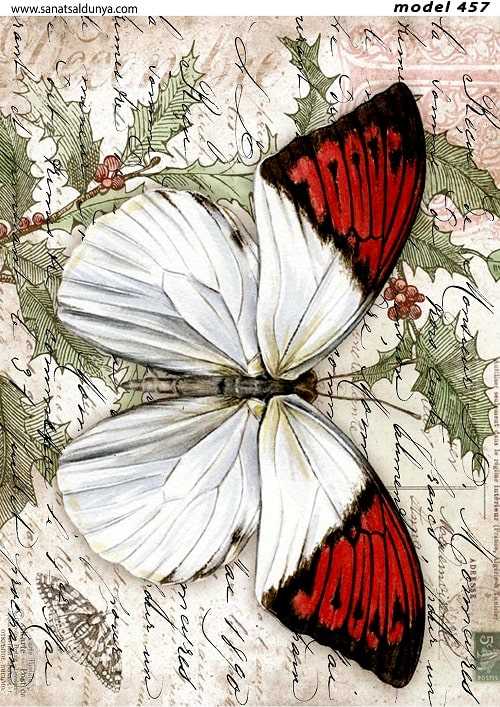 SD Pirinç Dekopaj - SDP0457