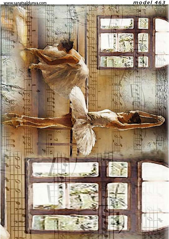 SD Pirinç Dekopaj - SDP0463