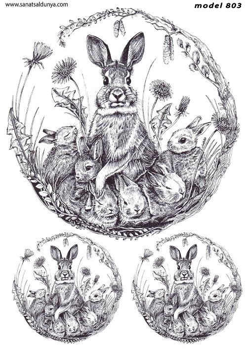 SD Pirinç Dekopaj - SDP803